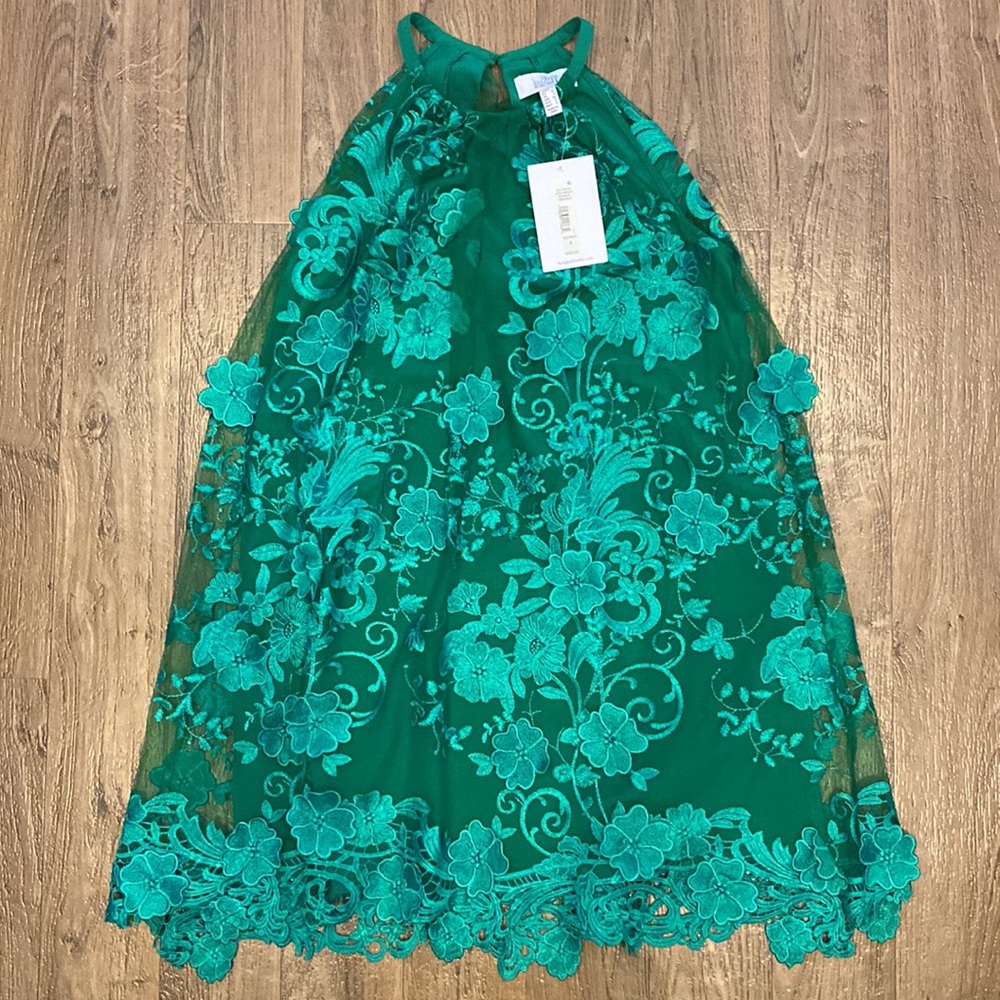 NWT Belle Badgley Mischka Nia Dress Emerald 4